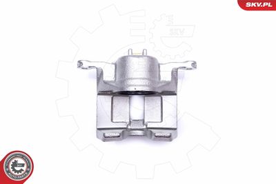 Brake Caliper 42SKV241