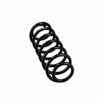 ARC SPIRAL EIBACH R10403 12