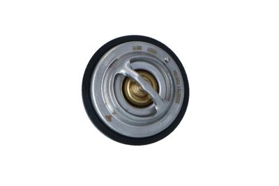 TERMOSTAT LICHID RACIRE NRF 725194 45