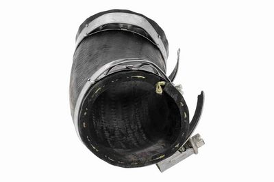 FURTUN EAR SUPRAALIMENTARE ACKOJA A520877 5