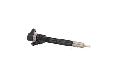 INJECTOR REMANTE 002003001713R 42