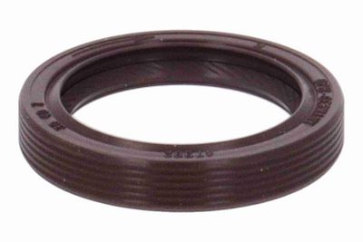 SIMERING POMPA ULEI VAICO V302977 4