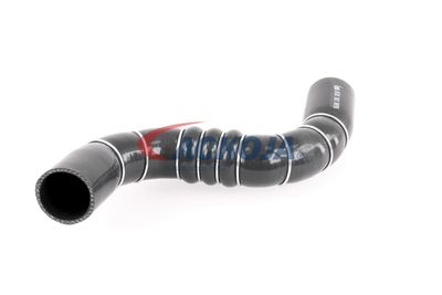 FURTUN EAR SUPRAALIMENTARE ACKOJA A389602 31