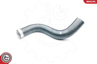 FURTUN EAR SUPRAALIMENTARE