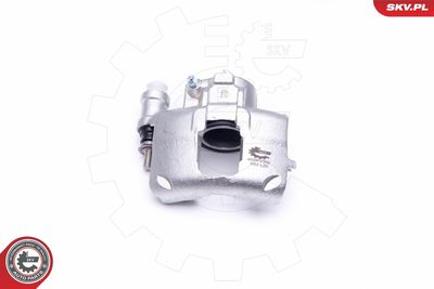 Brake Caliper 46SKV302