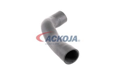 FURTUN EAR SUPRAALIMENTARE ACKOJA A379600 46