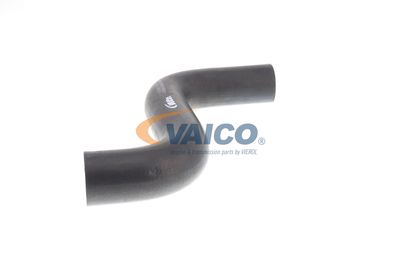 KüHLERSCHLAUCH VAICO V301574 52