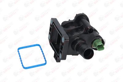 FLANSA LICHID RACIRE BIRTH 8910 10