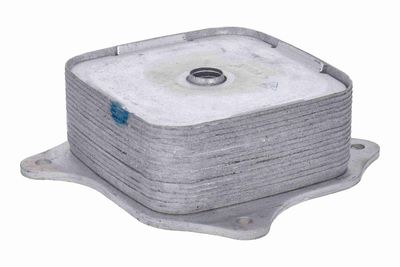 RADIATOR ULEI ULEI MOTOR ACKOJA A26600009 2