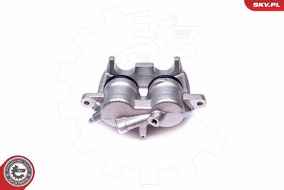 Brake Caliper 50SKV173