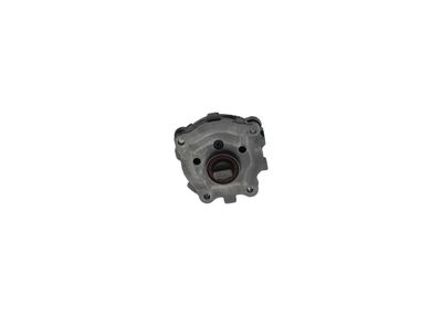 BOSCH Kraftstoffpumpe