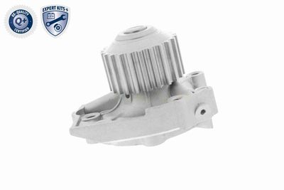 POMPă DE APă RăCIRE MOTOR ACKOJA A510700 4