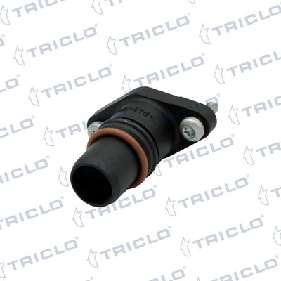 тръбопровод, AGR-вентил TRICLO 450053