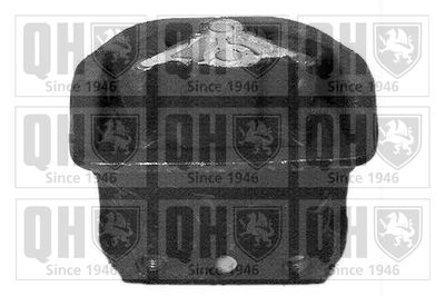 QUINTON HAZELL EM2463 Подушка двигателя для OPEL ASCONA C (J82)