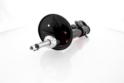 AMORTIZOR GH GH353054 11