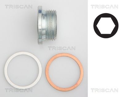 TRISCAN 9500 1018 Пробка поддона  для MASERATI 4200 (Мазерати 4200)