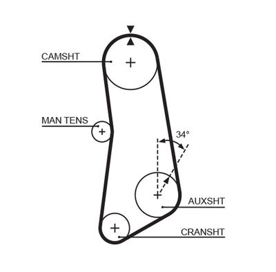 Timing Belt GATES 5089