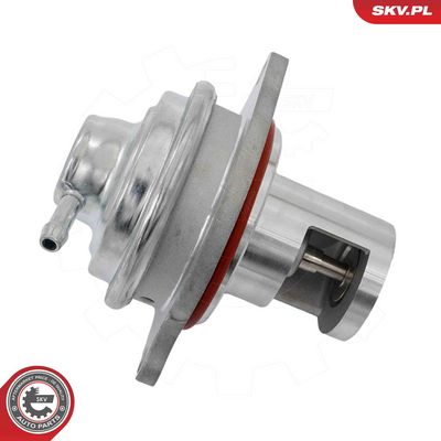 AGR-Ventil ESEN SKV 14SKV326