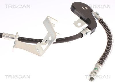 FURTUN FRANA TRISCAN 815028248 3