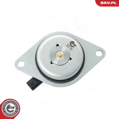 ESEN SKV - Centrálny magnet pre nastavovanie vačkového hriadeľa OPEL, VAUXHALL, CHEVROLET, GENERAL MOTORS , 39SKV902