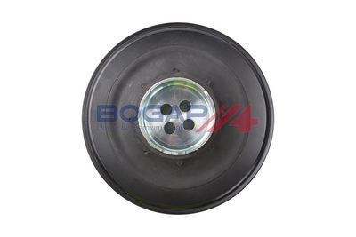 FULIE CUREA ARBORE COTIT BOGAP B1213131 1