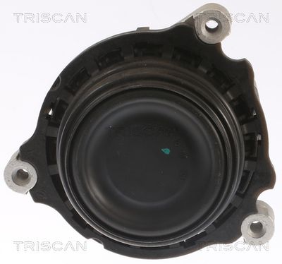 SUPORT MOTOR TRISCAN 850511109 1