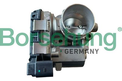 CARCASA CLAPETA Borsehung B11108