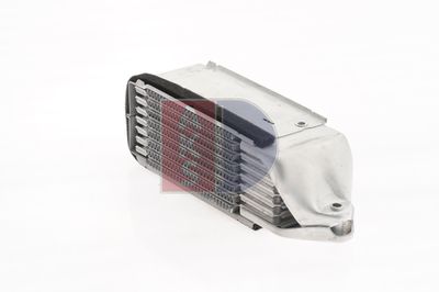 ÖLKüHLER MOTORöL AKS DASIS 046013N 10