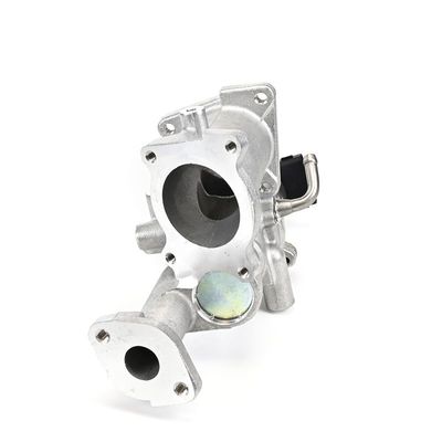 SUPAPA EGR DELPHI EG1049712B1 8