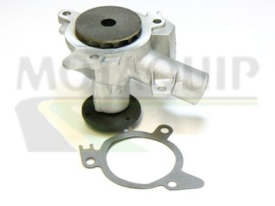 POMPă DE APă RăCIRE MOTOR MOTAQUIP VWP381 1