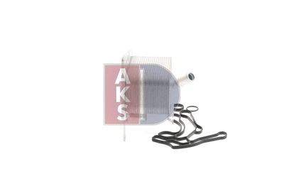 ÖLKüHLER MOTORöL AKS DASIS 156008N 10