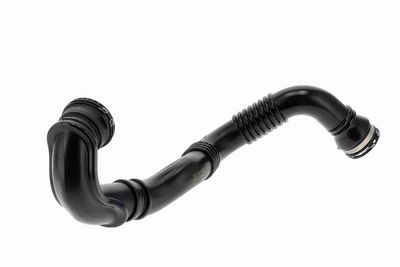 FURTUN EAR SUPRAALIMENTARE