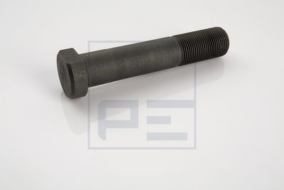 Bolt roata PE Automotive 2213002701
