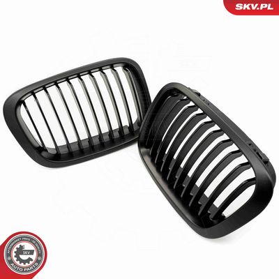 GRILA RADIATOR ESEN SKV 66SKV062 4