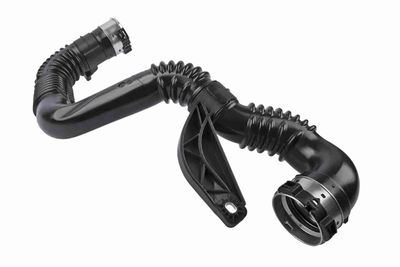 FURTUN EAR SUPRAALIMENTARE