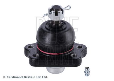 Spindelled BLUE PRINT ADN186112