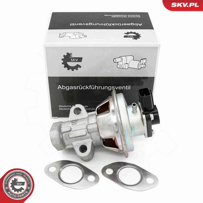 SUPAPA EGR ESEN SKV 14SKV262
