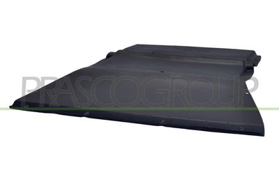 MATERIAL AMORTIZARE ZGOMOT NISA MOTOR