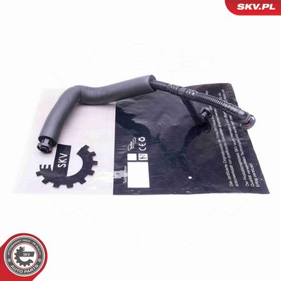 FURTUN EAR SUPRAALIMENTARE