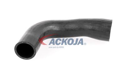 FURTUN EAR SUPRAALIMENTARE ACKOJA A389600 56