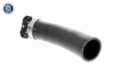 LADELUFTSCHLAUCH VAICO V461198 2