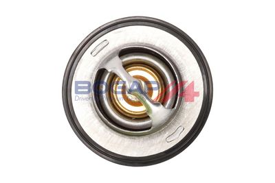 TERMOSTAT LICHID RACIRE BOGAP W4245109 2