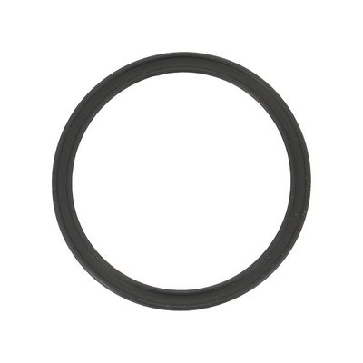 DICHTRING MOTORöLSTANDSENSOR