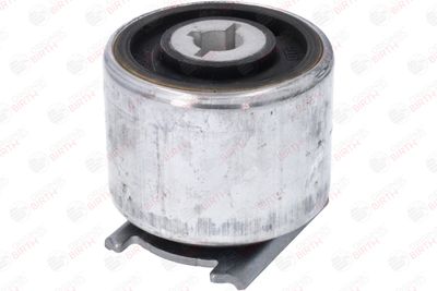 SUPORT AX BIRTH 53909 11