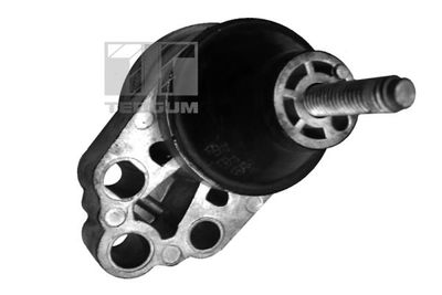 TEDGUM 00226305 Подушка двигателя для FORD FOCUS I (DAW, DBW)
