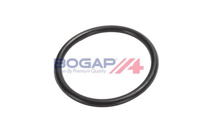 POMPă DE APă RăCIRE MOTOR BOGAP B4234105 6