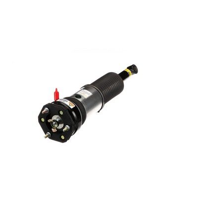 BRAT ARC PNEUMATIC Arnott AS3074 48