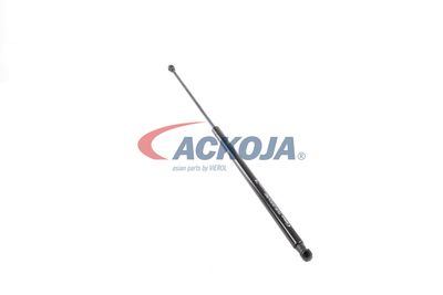 AMORTIZOR PORTBAGAJ ACKOJA A380338 46