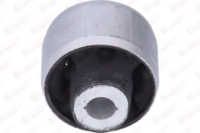 SUPORT TRAPEZ BIRTH 2012 1