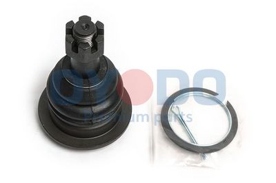 Šarnyras / girgždukas